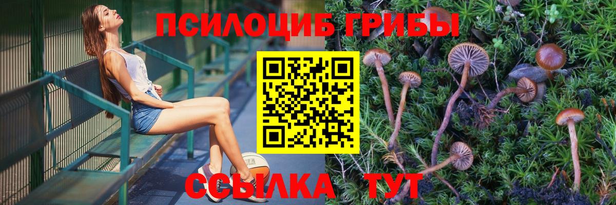 Новый Уренгой  Псилоцибиновые грибы Magic Shrooms  Вход с VPN  купить наркоту  Псилоцибиновые грибы Magic Shrooms 