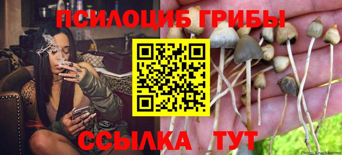 Псилоцибиновые грибы ЛСД Новый Уренгой